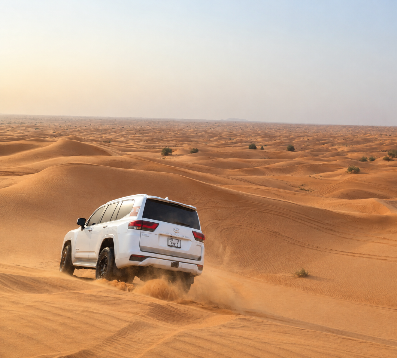 Main image for Evening Desert Safari – BBQ Dinner & Live Entertainment